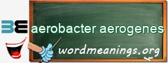 WordMeaning blackboard for aerobacter aerogenes